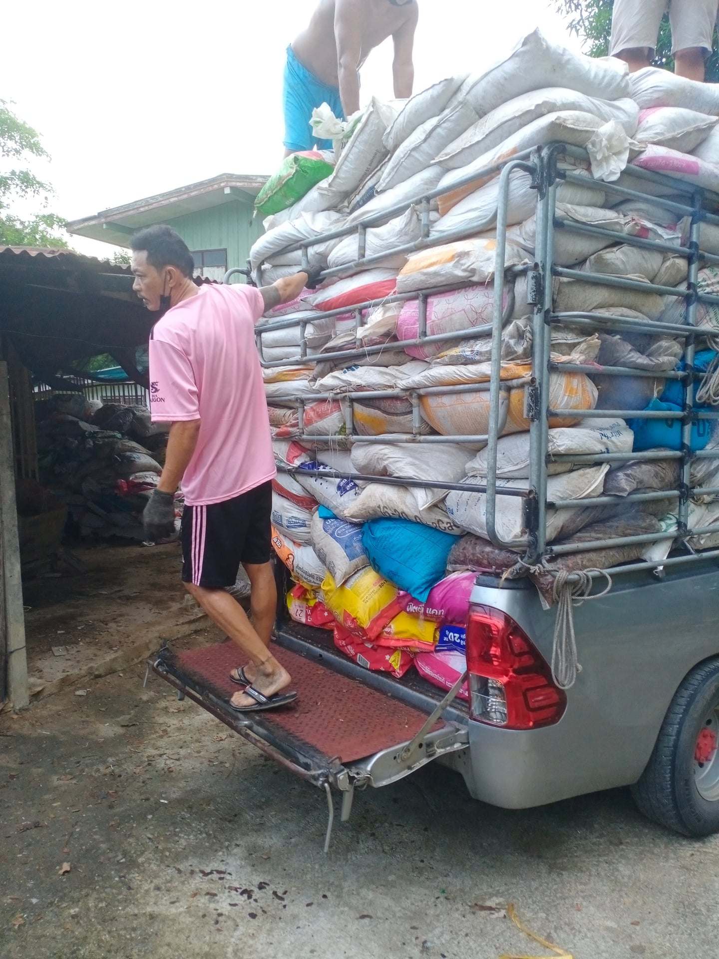 BML Bob Mar Laew