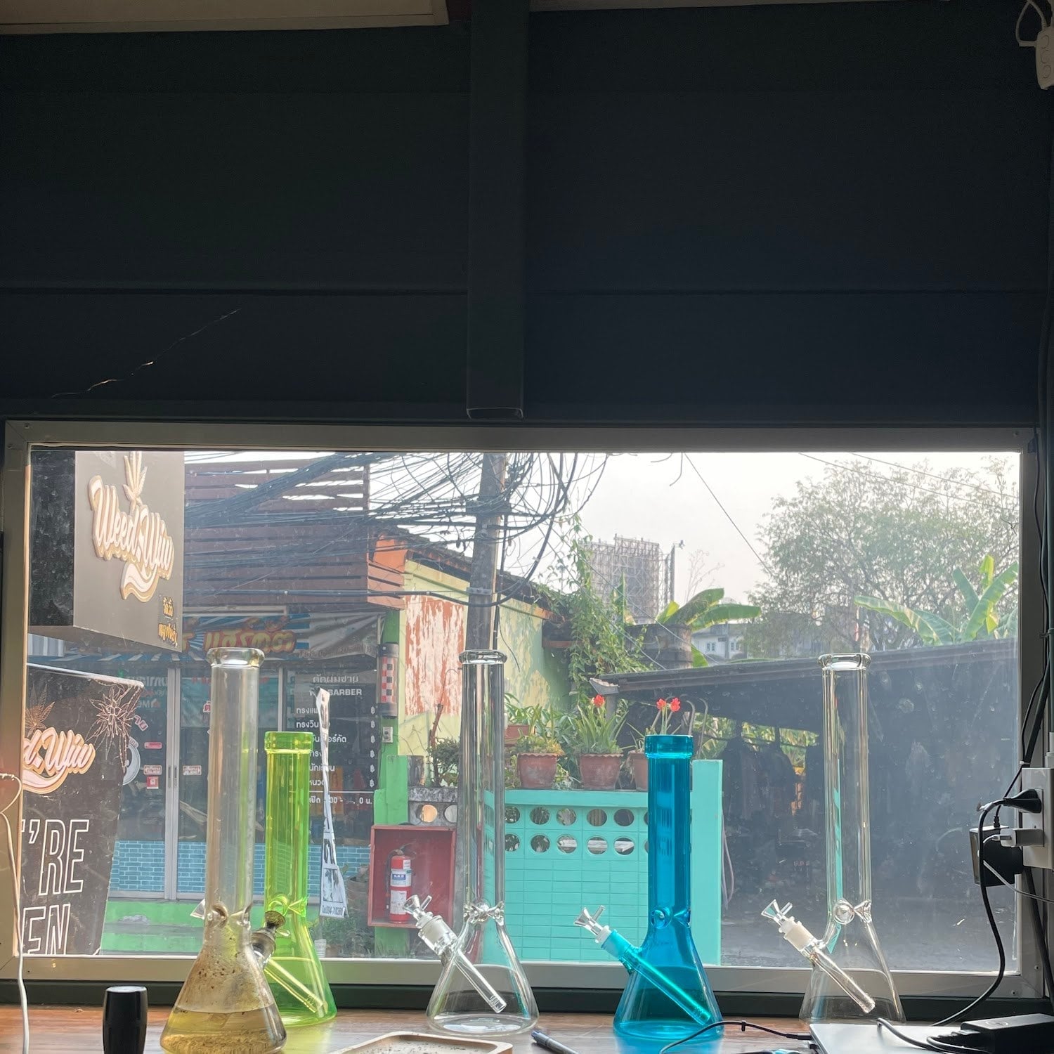 Weed.Wiw Nong Pa Khrang