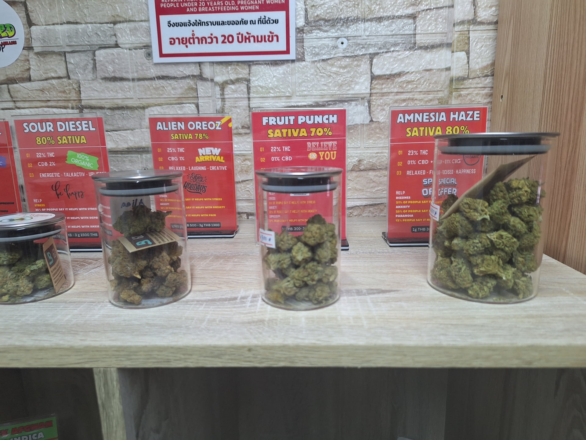 PTW - The Premium Medical