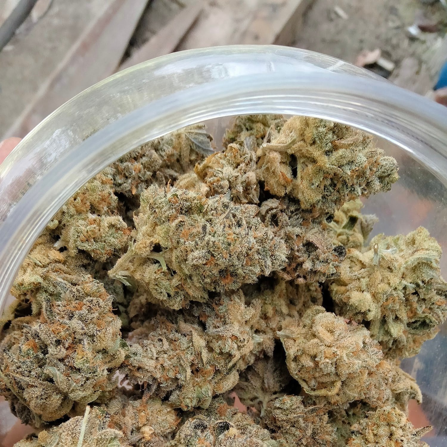 BK Cannabis