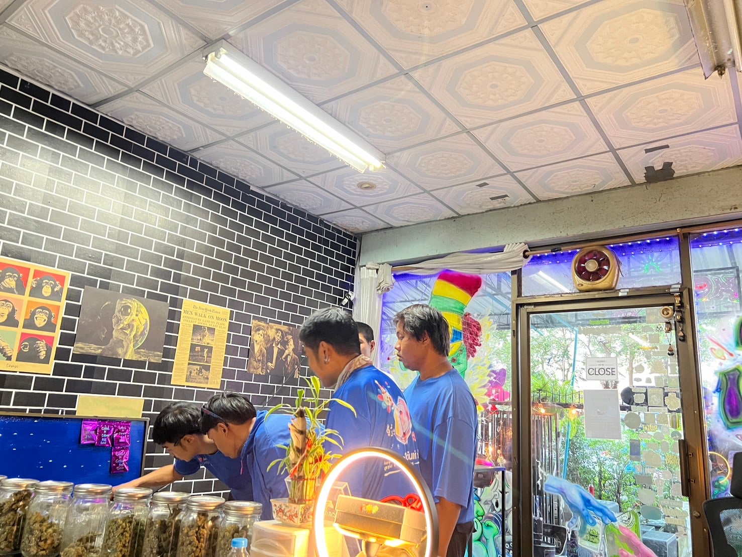 Homchui Organic