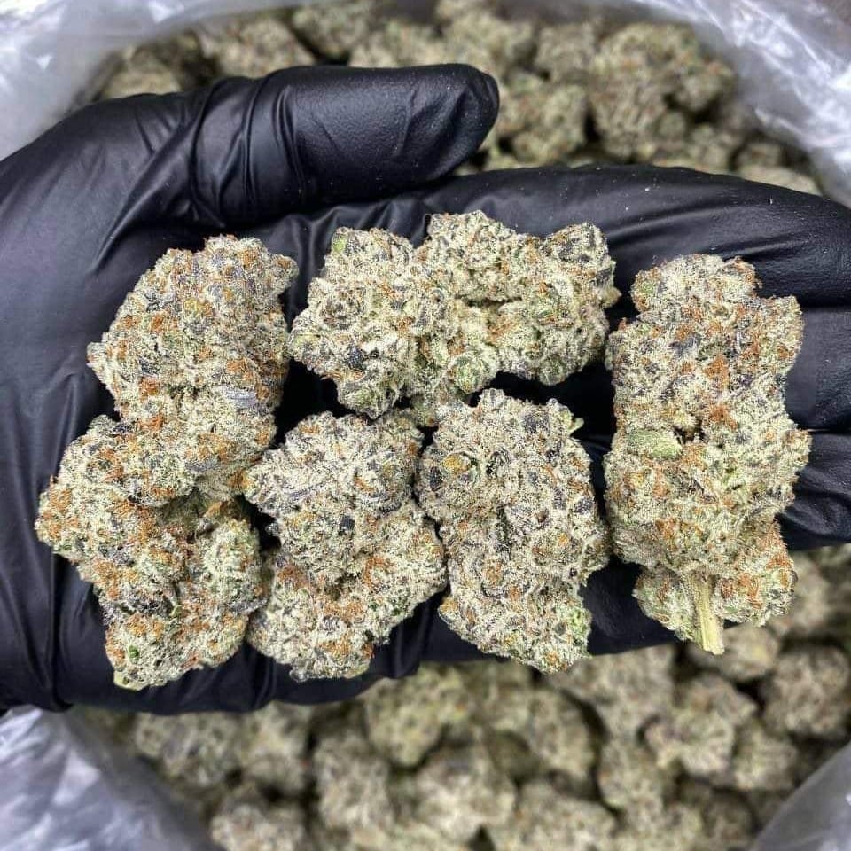 Big Dum Higher Cannabis Shop Koh Samui