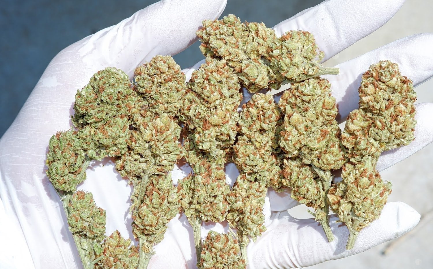 Stonery