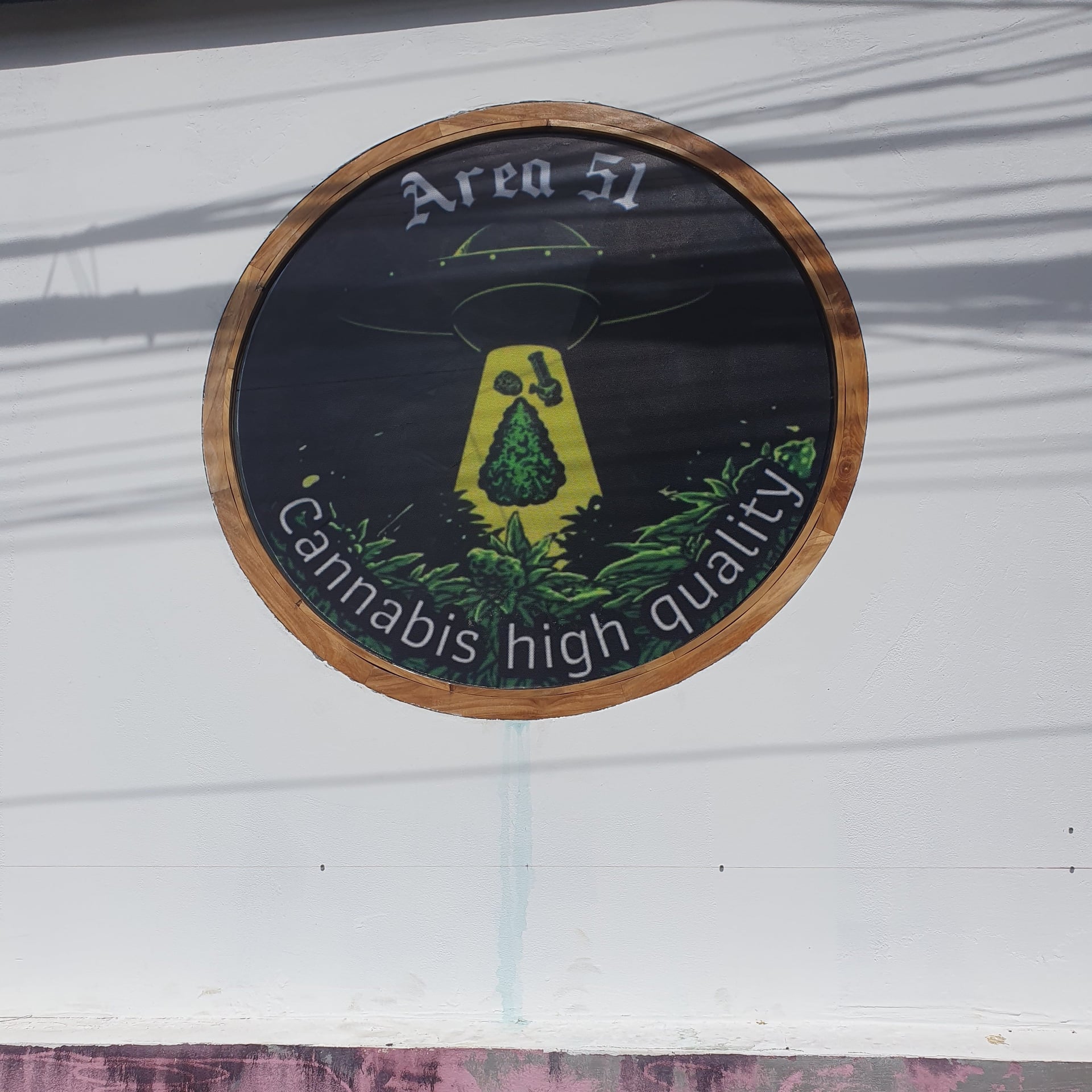 Area51
