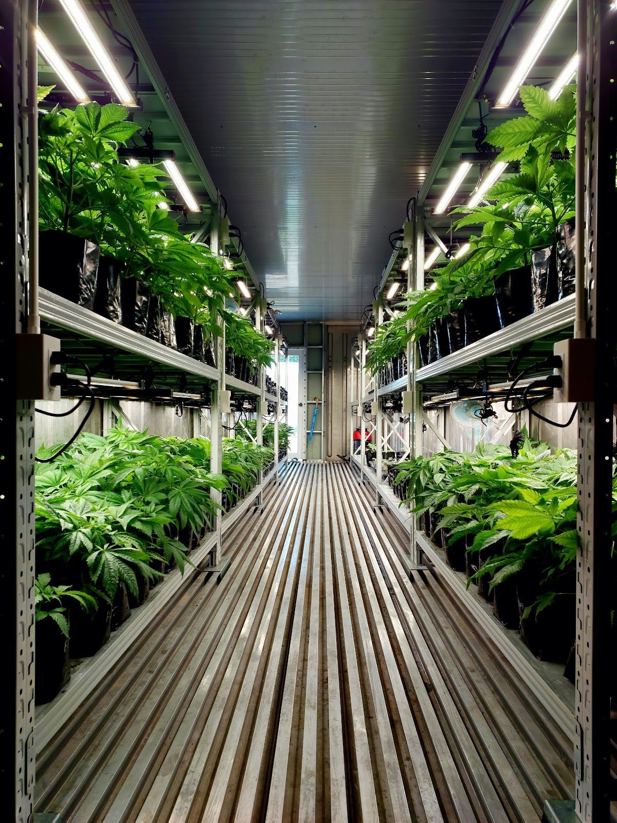 Highway Farm