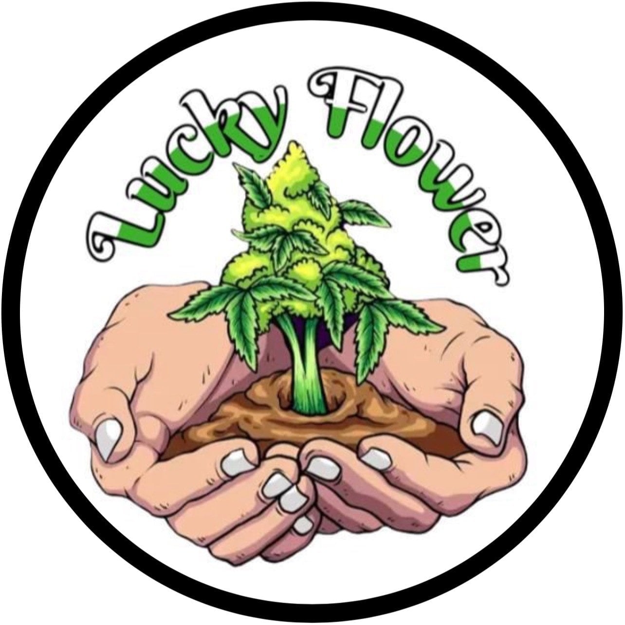 Lucky Flower Cannabis