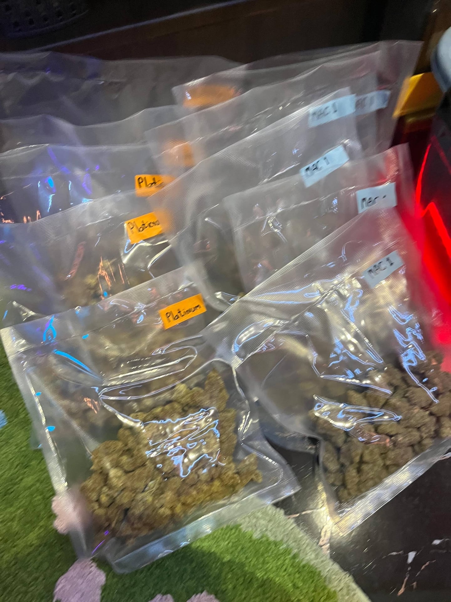 Wild Weed