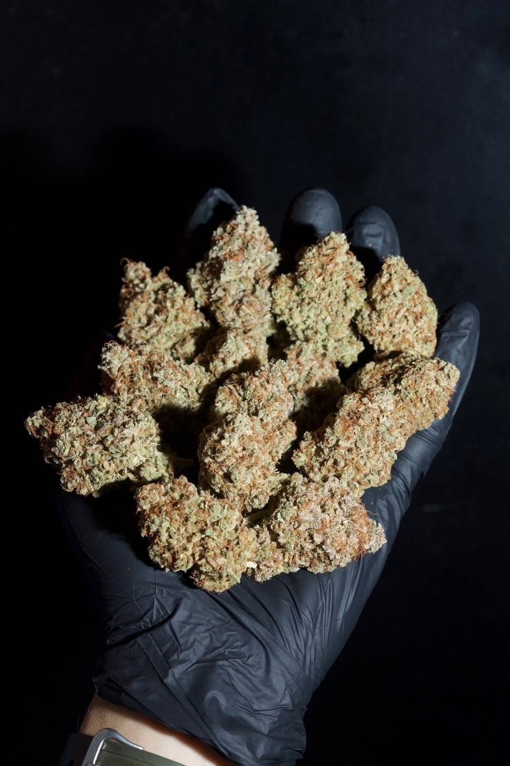 BusGrow