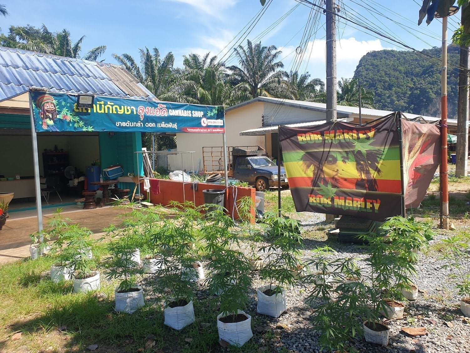 Station Cannabis