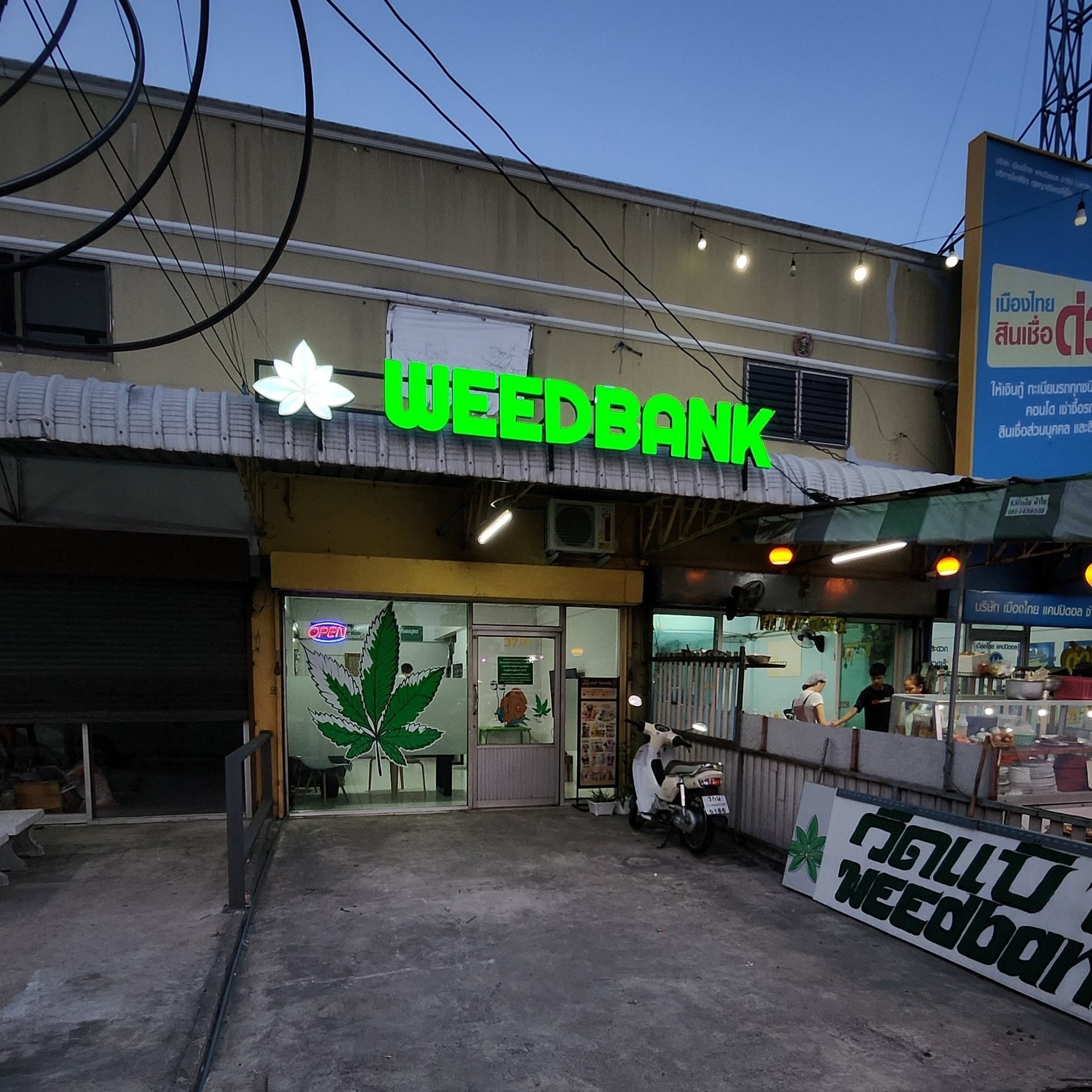 Weedbank