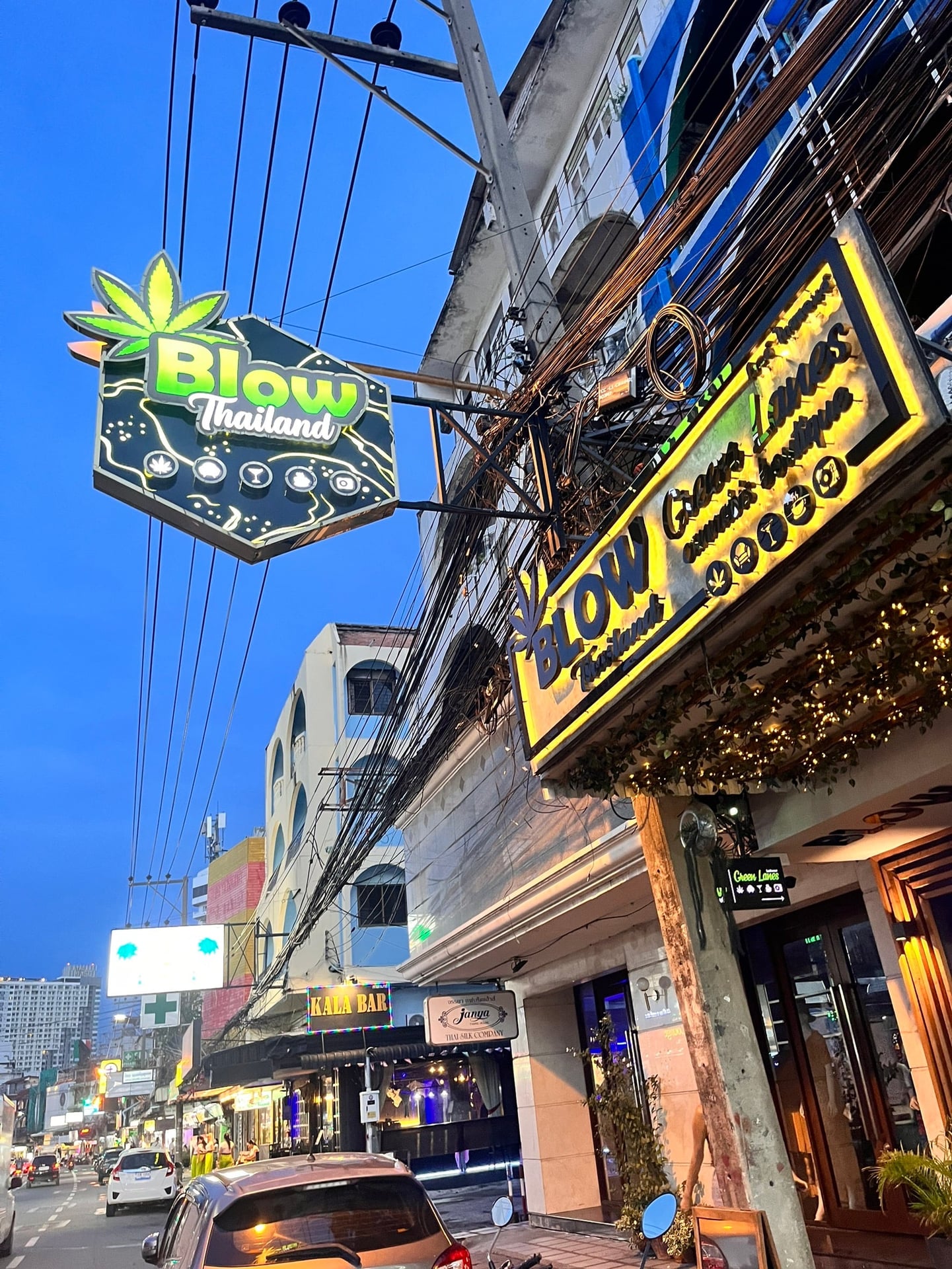 Blow Cannabis Coffee Shop Lounge