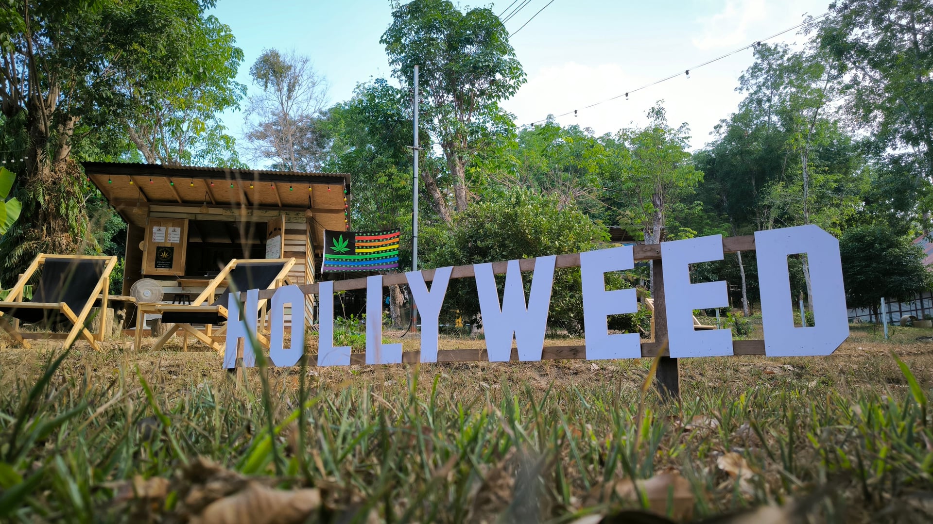 HollyWeed Cannabis Cafe