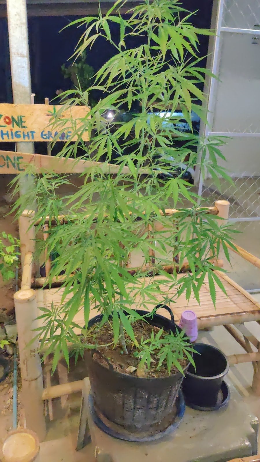 M.O.M. Weed Zone