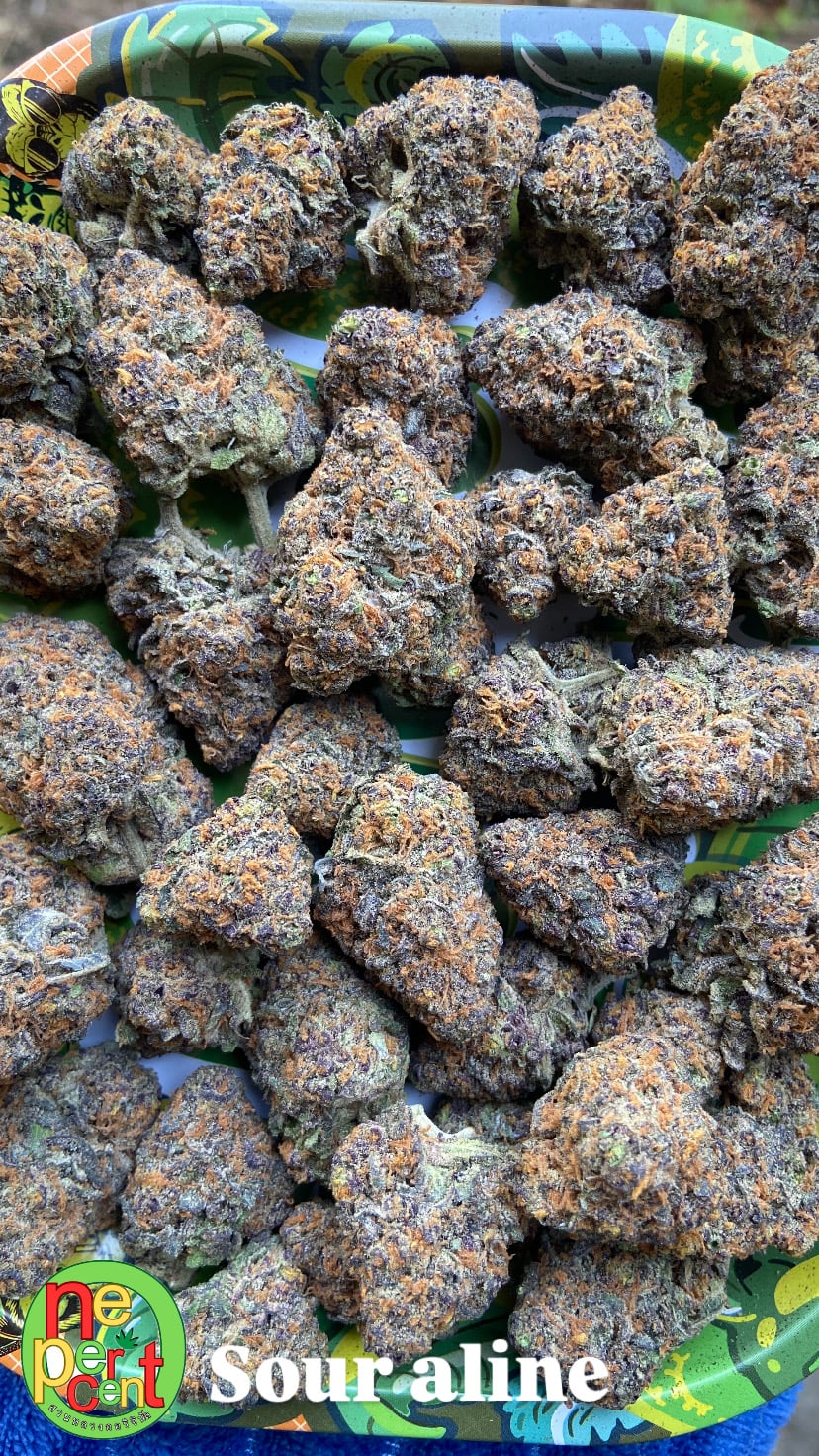 Onepercent.Organic