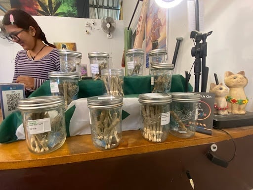Jungle Garden Cannabis Dispensary Lonely Beach