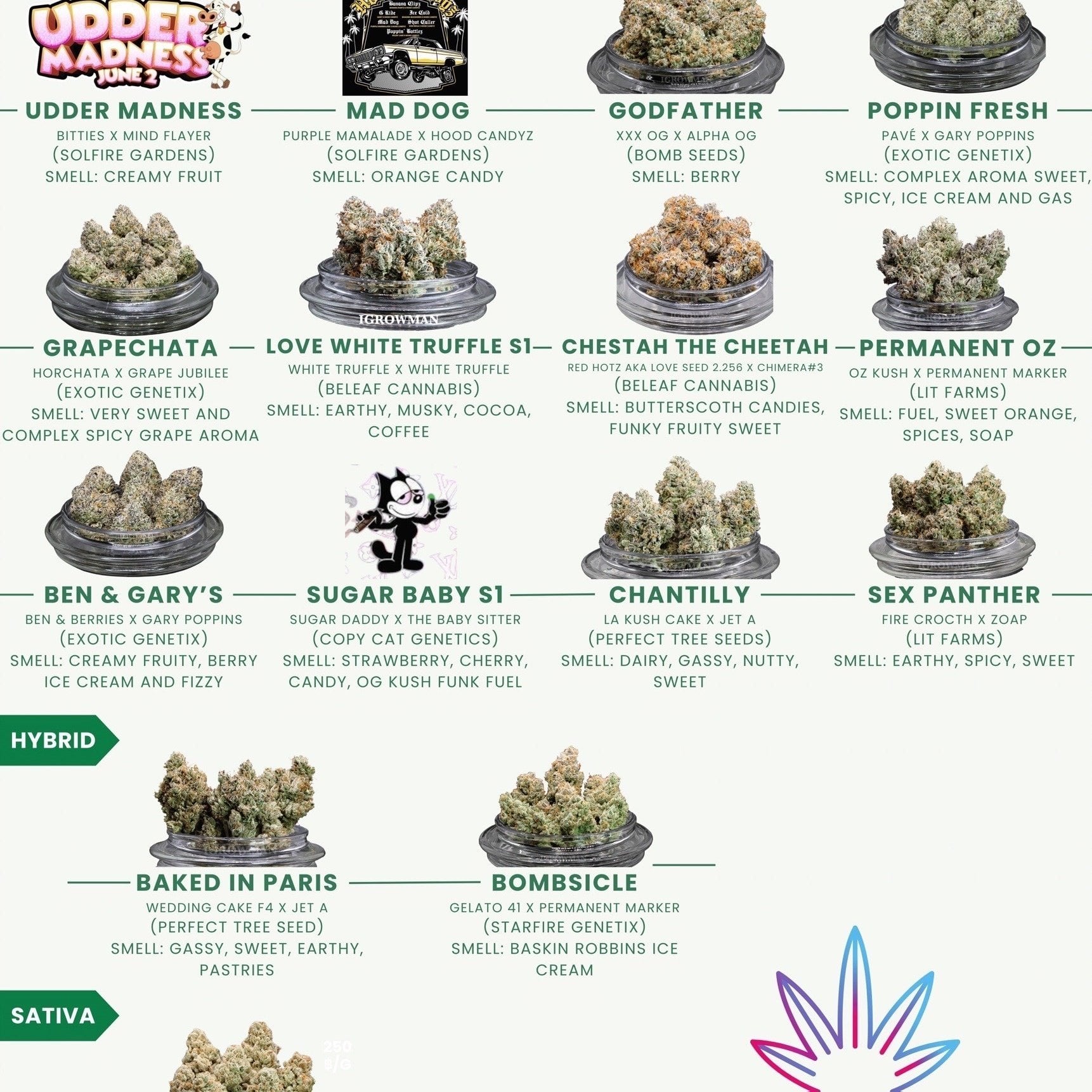 Bottoms Up By Weed