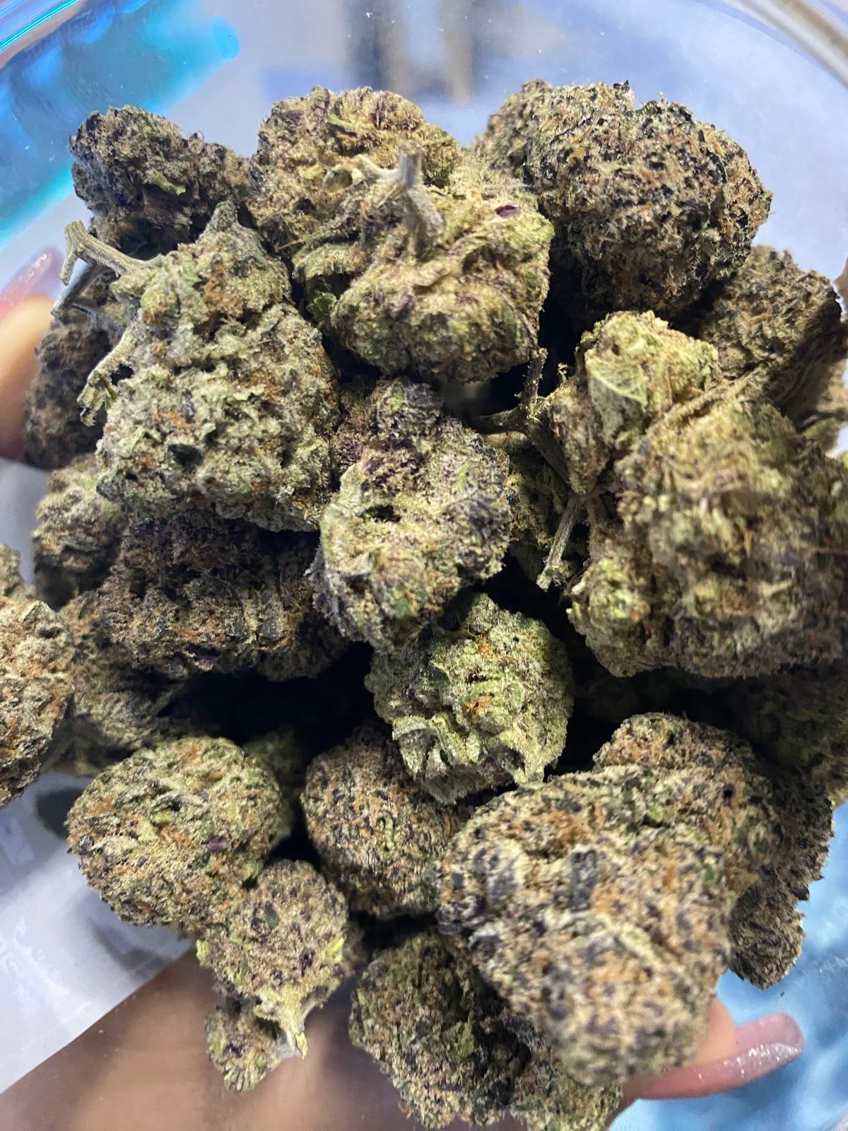 Area 420