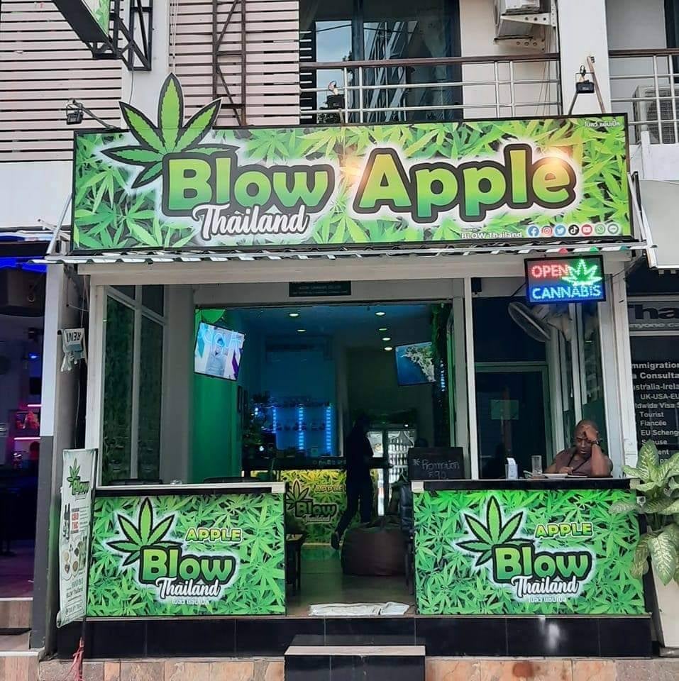 Blow Cannabis Coffee Shop Lounge