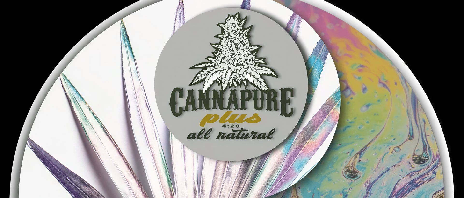 Cannapure Plus hero