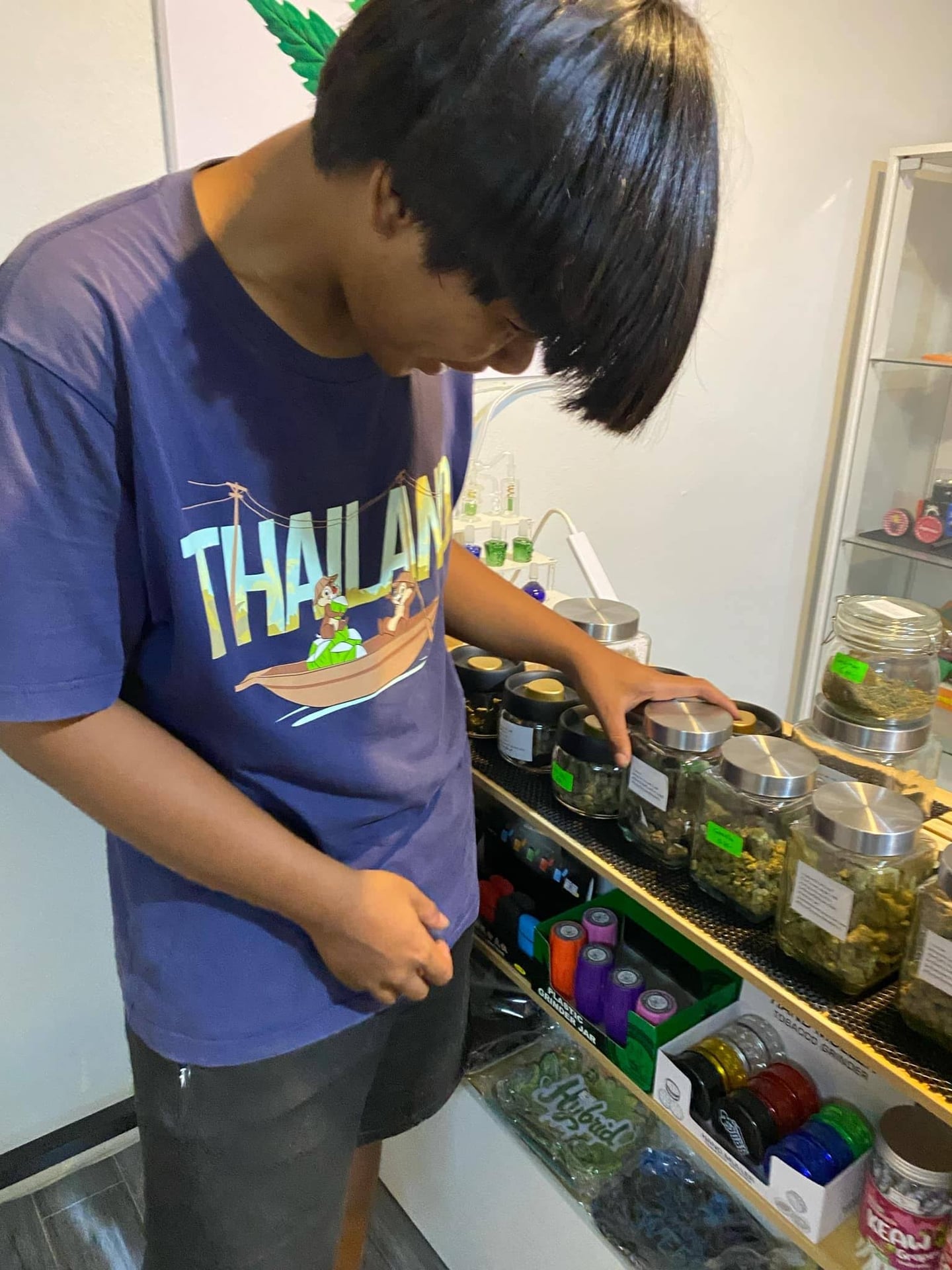 TT Cannabis King
