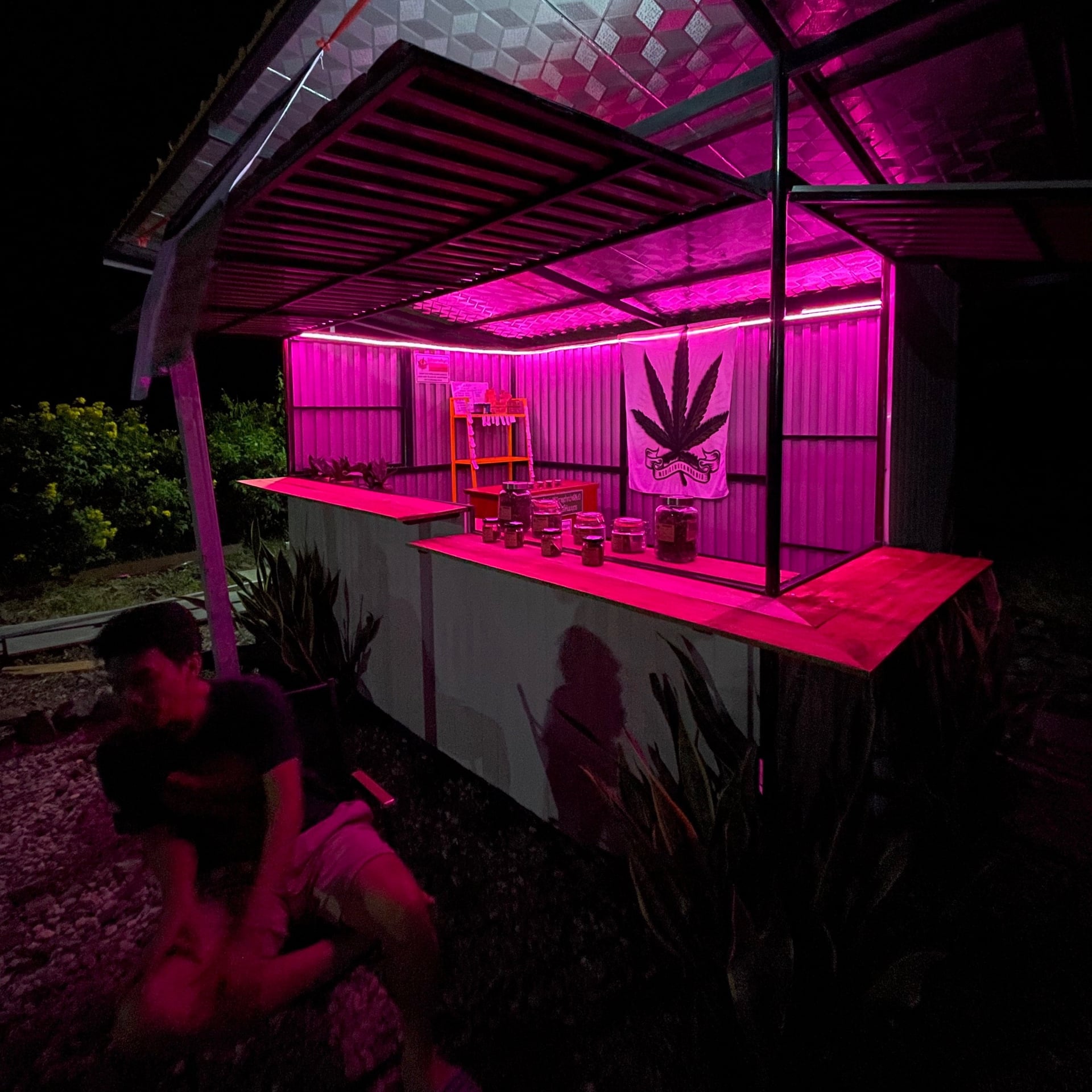 Chang Get High 420 - - Marijuana, Cannabis