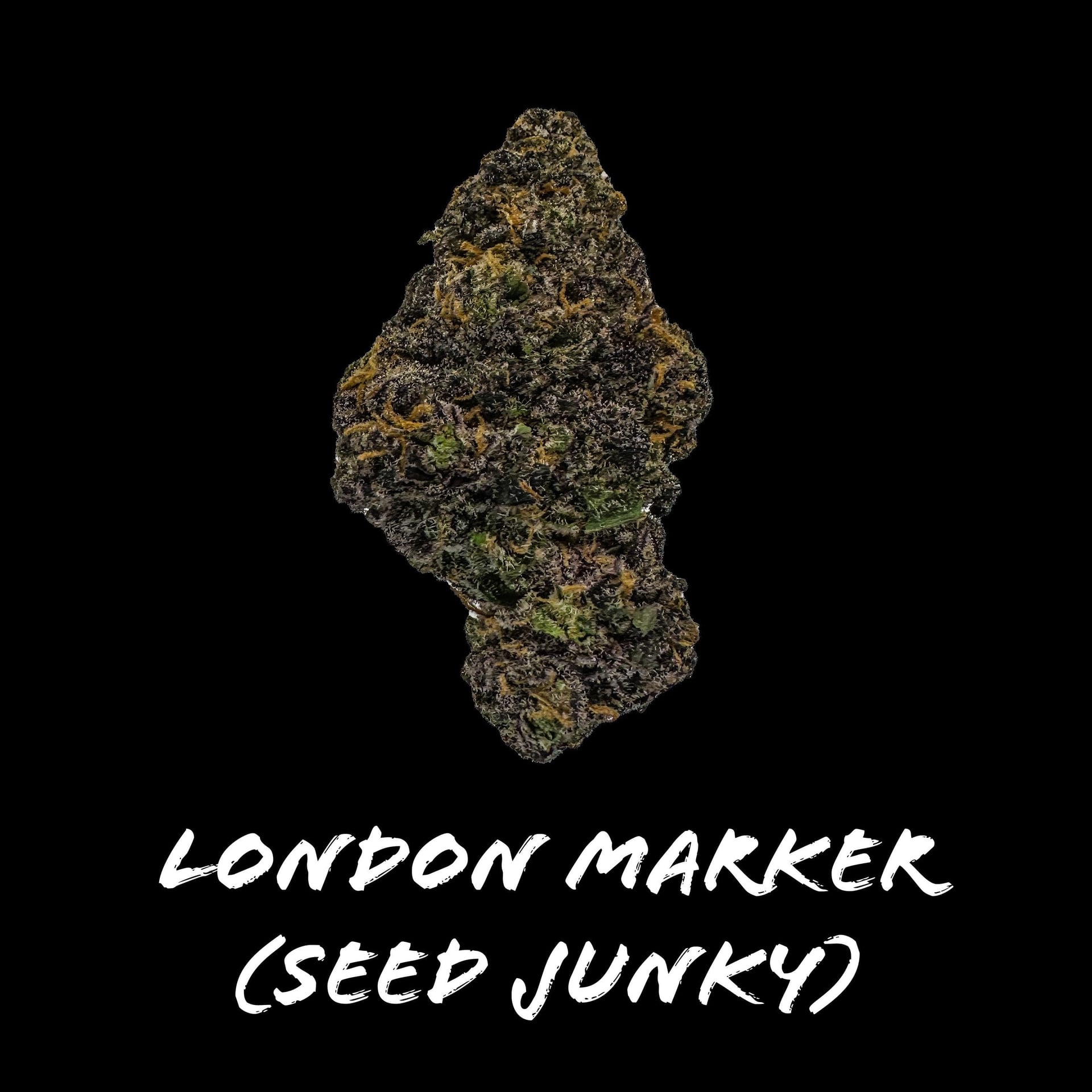 Beardog Weed Delivery logo