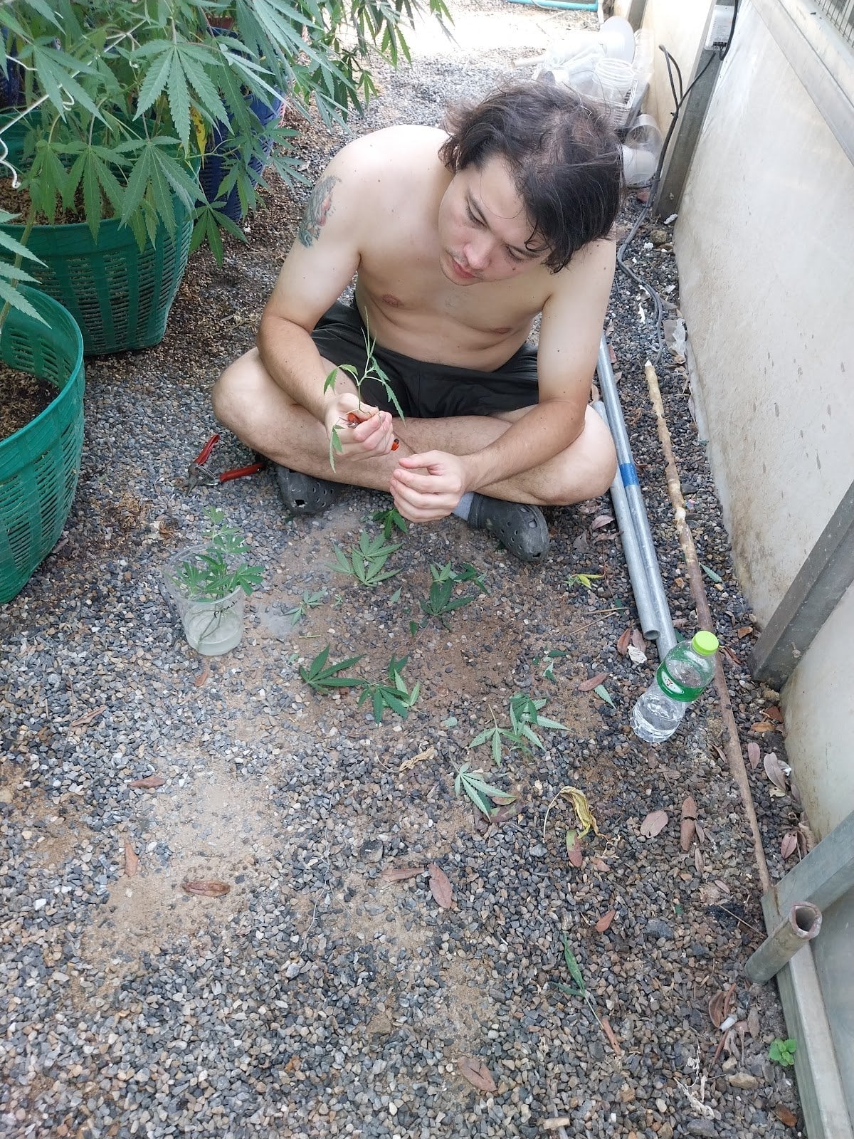 Growers Without Borders CNX