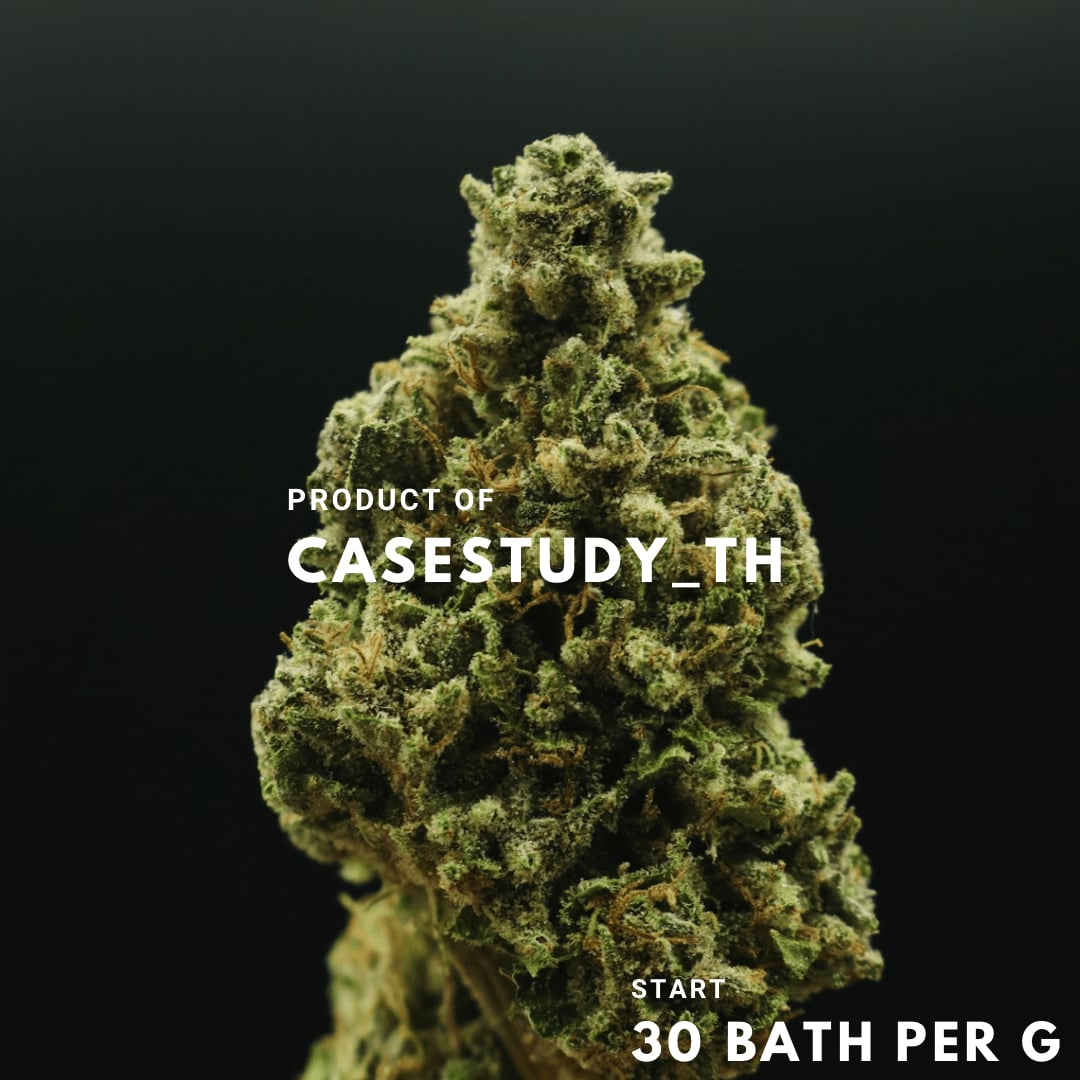 Case Study Ubon Cannabis