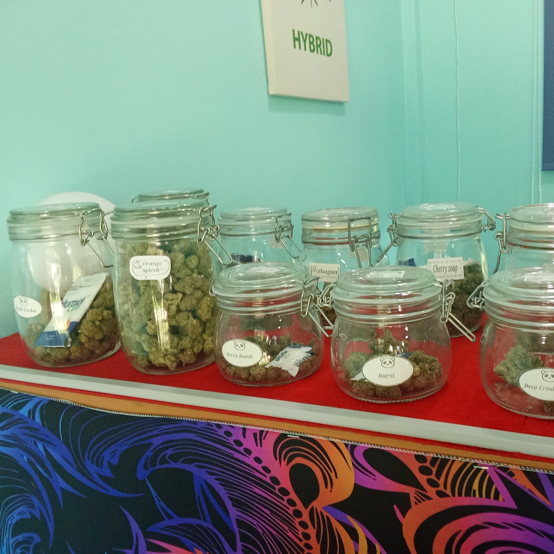 Weed Cannabis