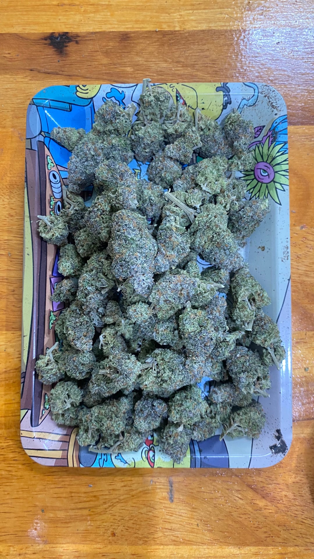 KT Farm Cannabis Shop Phatthalung