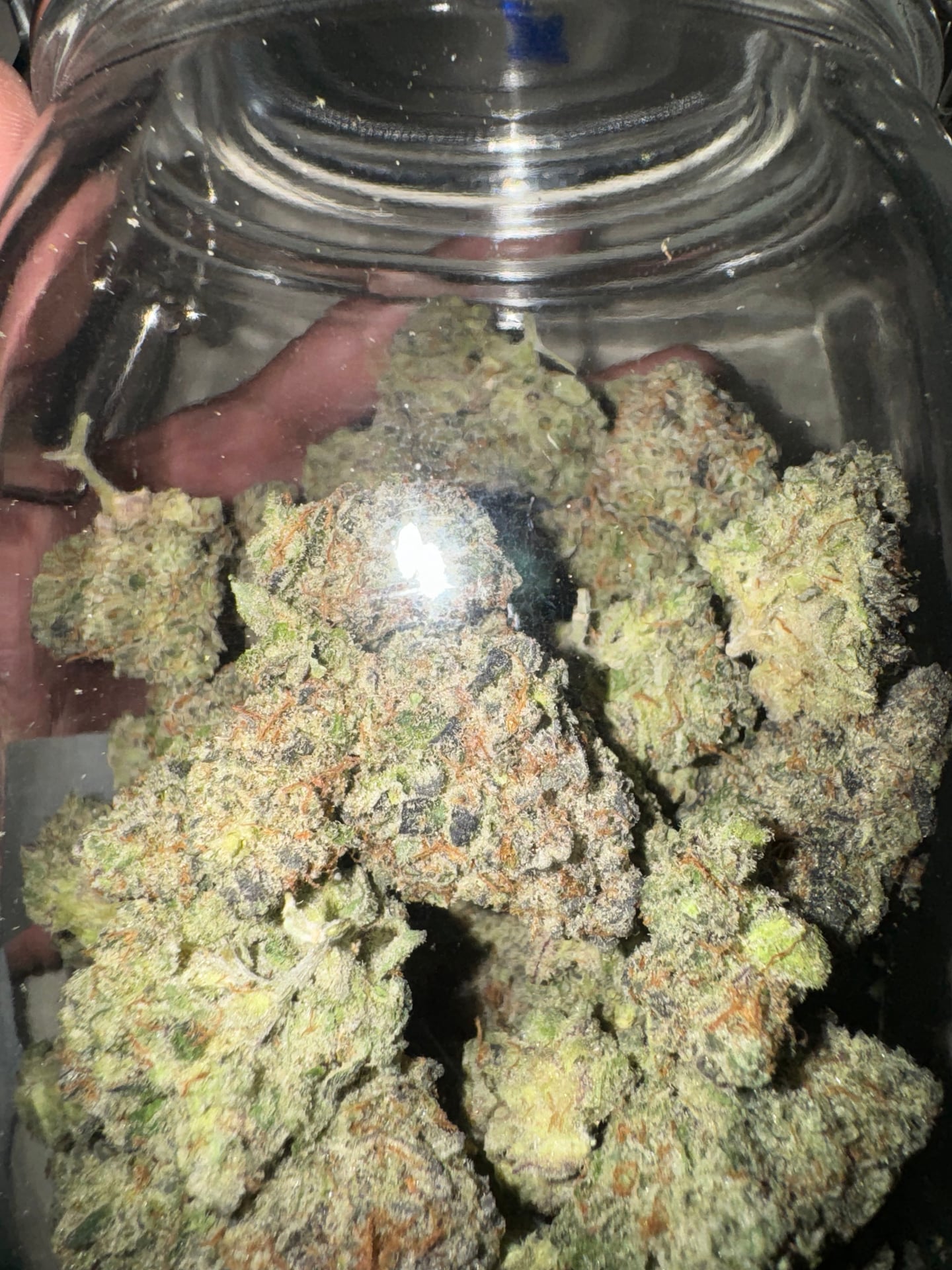 Paradis Buds