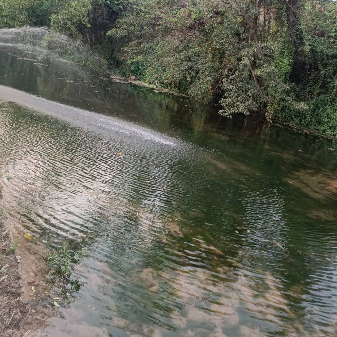 Yot Manut Gan Suan Phueng
