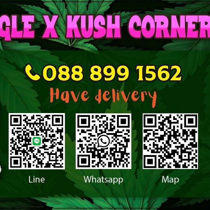 High Jungle Weed X Kush Corner