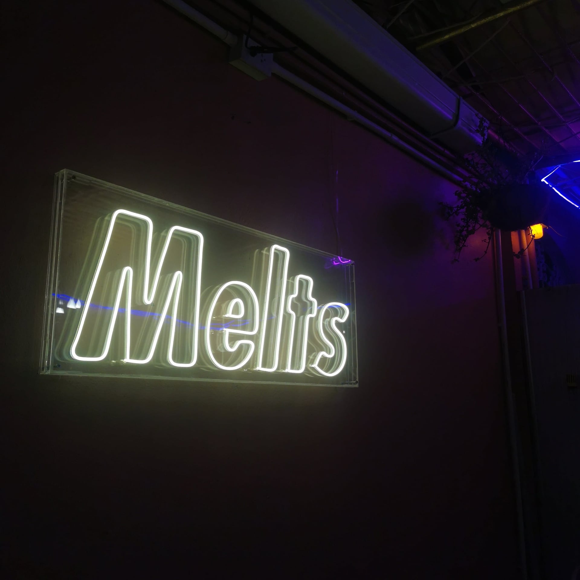 Stash Cannabis Rooftop Bar & Lounge - Weed, Kratom & Cocktails
