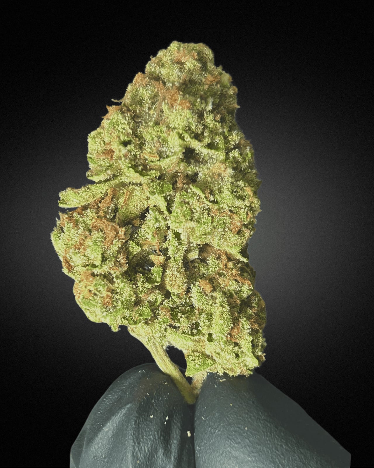 Candyz Termtem Sai Yuan - Rawai