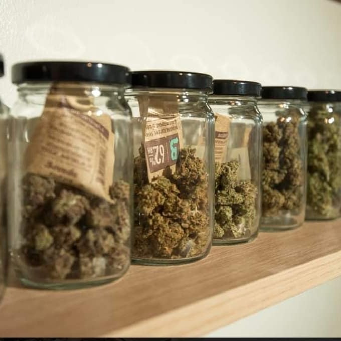 Weedboy