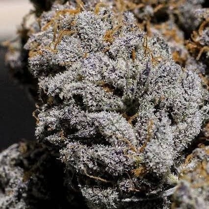 White Lily Klong Hang, Cannabis Dispensary, Weed Shop And Delivery