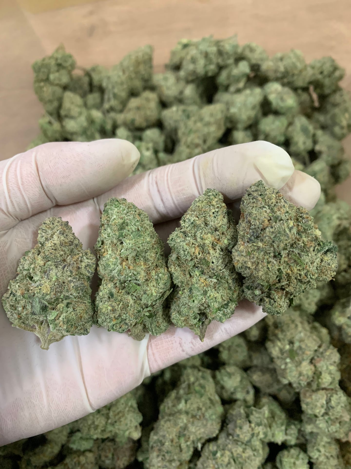 I HAVE CANNABIS Huai Khwang