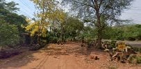 Tropical Cannabis Cafe