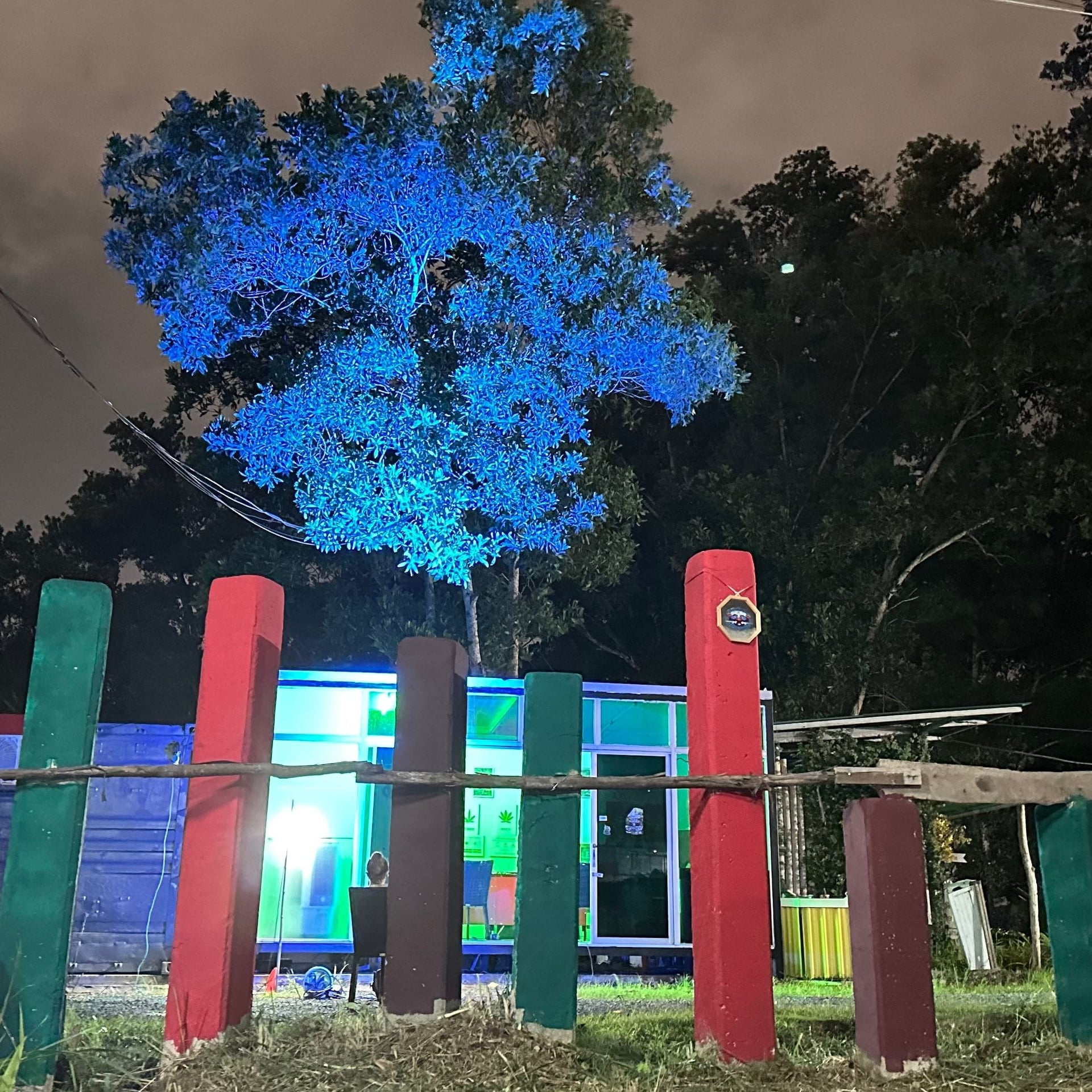 High Jungle Weed X Kush Corner