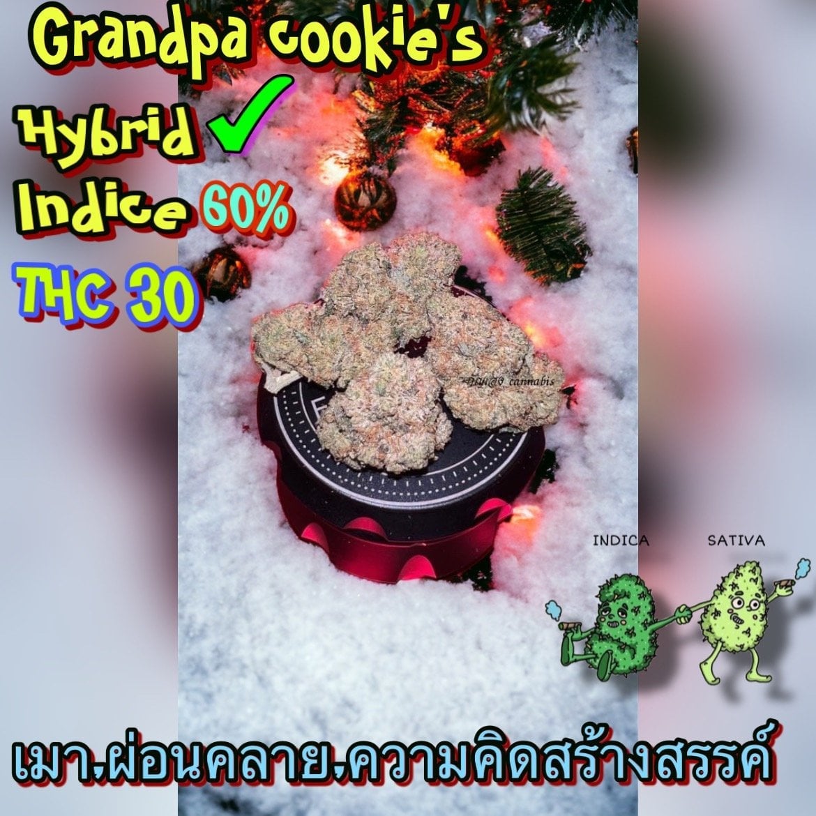 Cannabis Weed