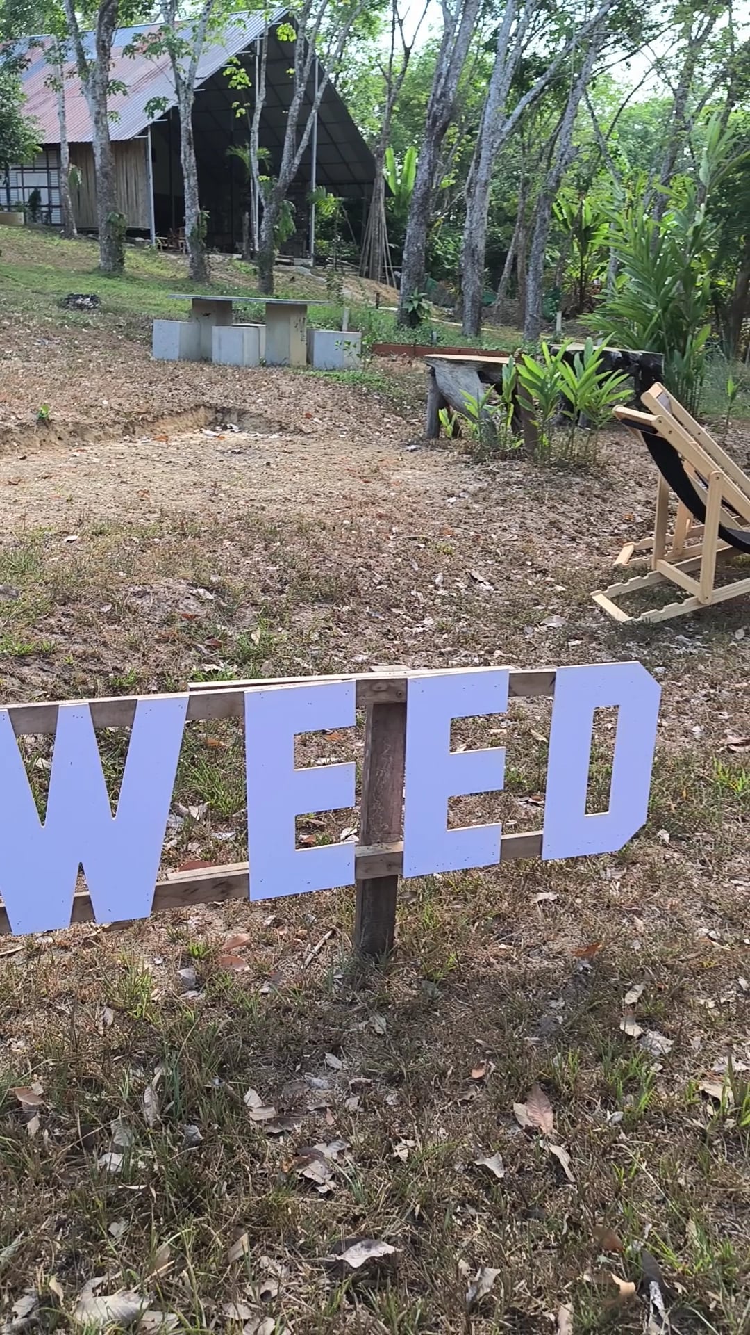 HollyWeed Cannabis Cafe