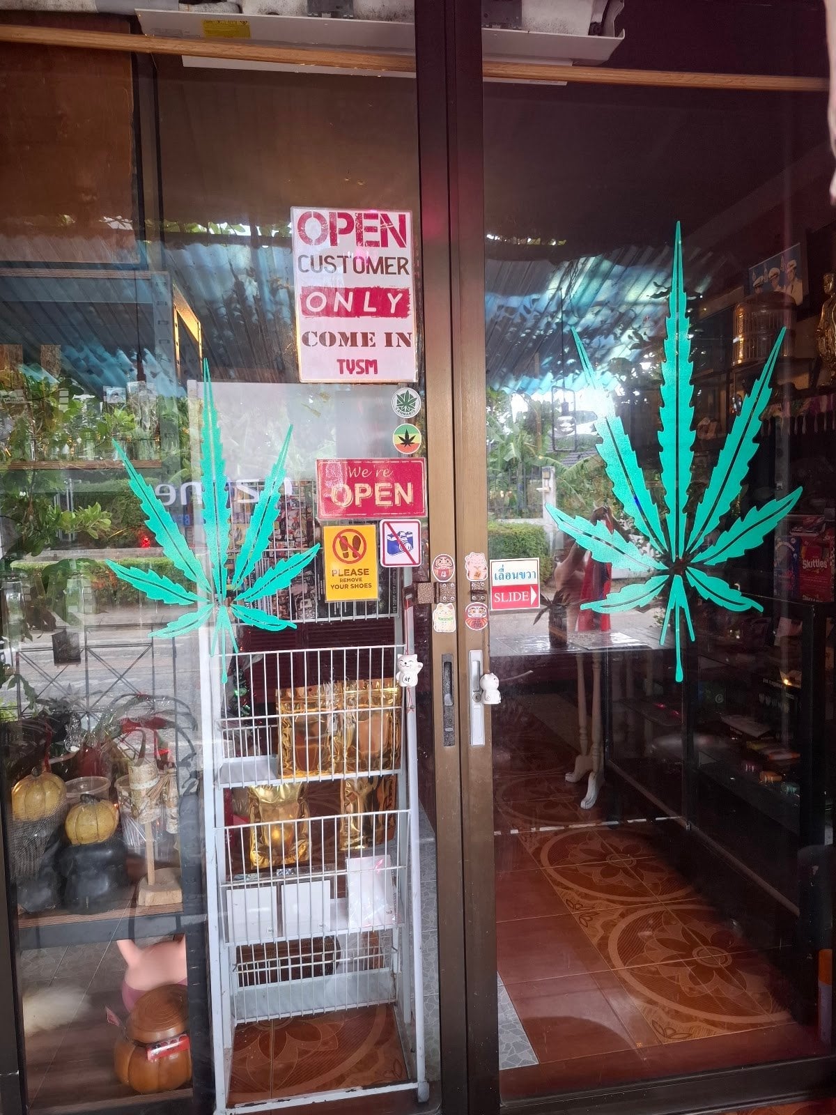 Cannabis & Pizza House7