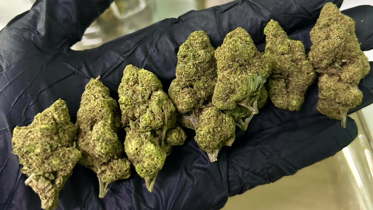 Full Weed Pattaya 60 G