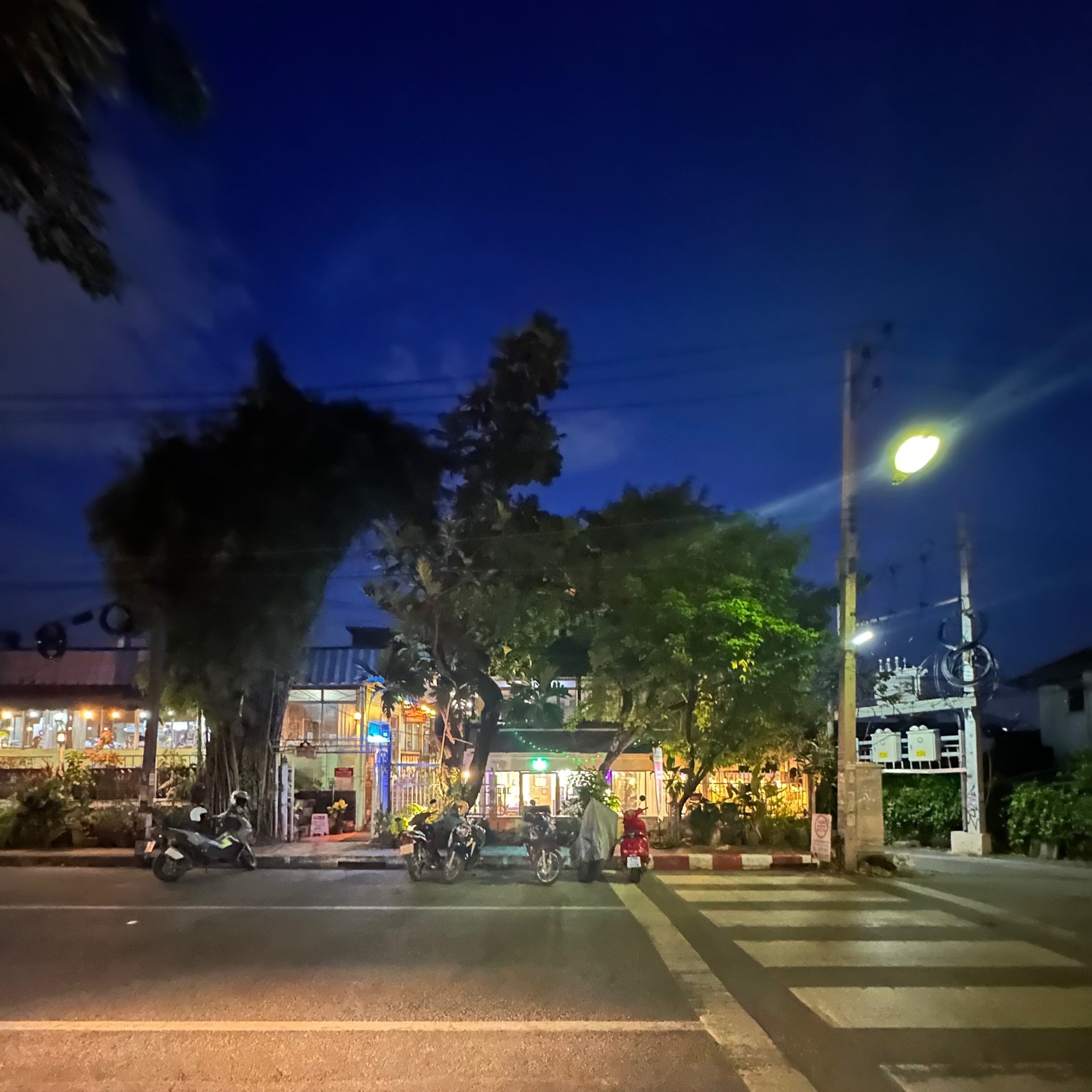 Dew Club - Premium Weed Chiang Mai In Downtown