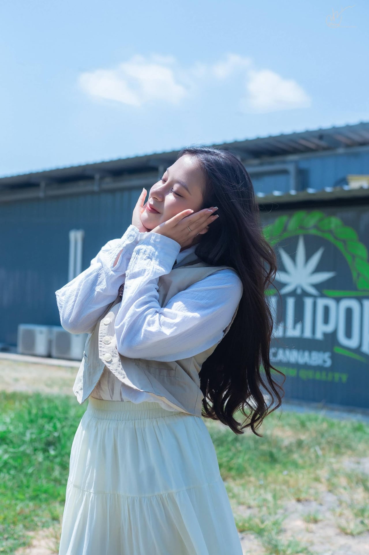 Lollipop Cannabis Farm