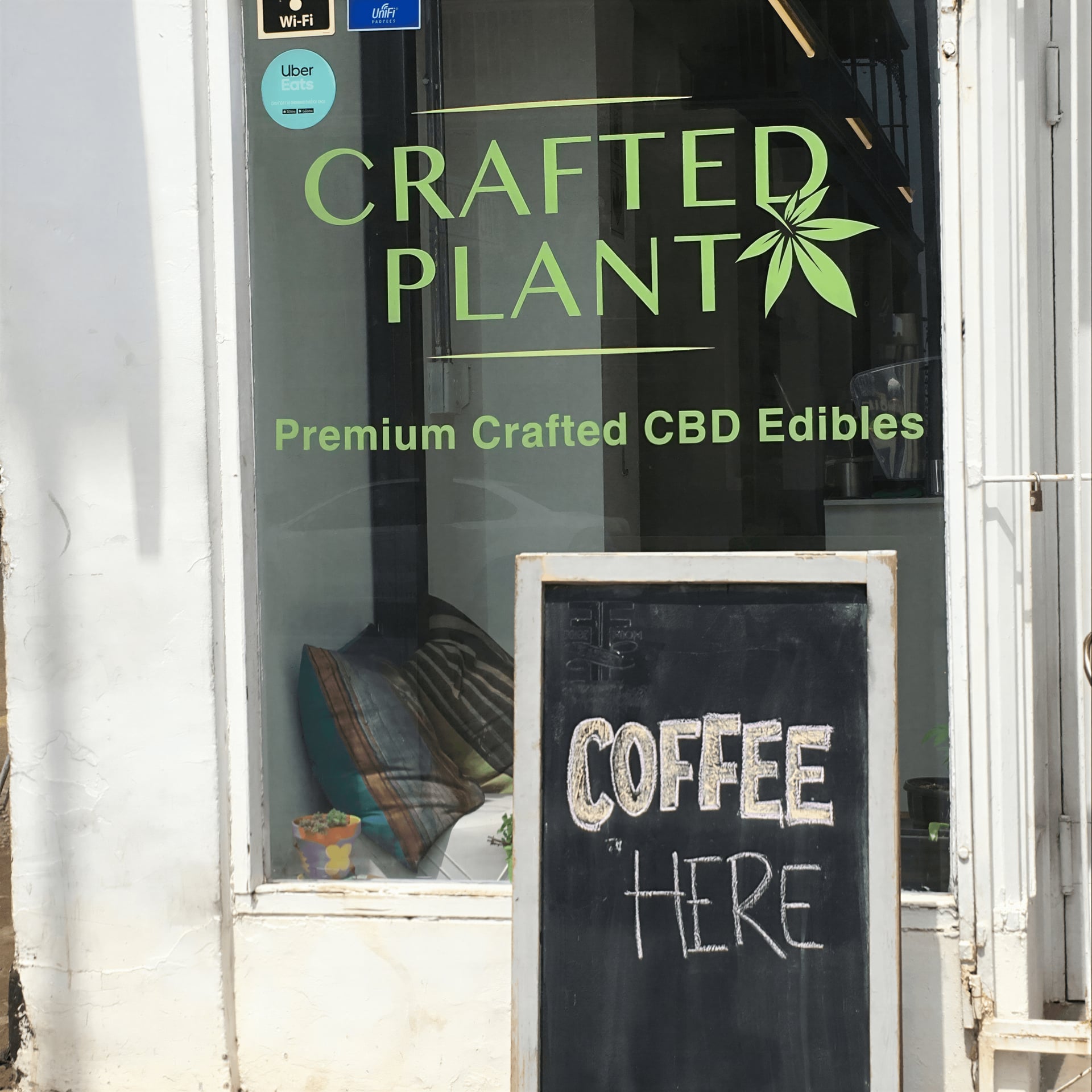Crafted Plant