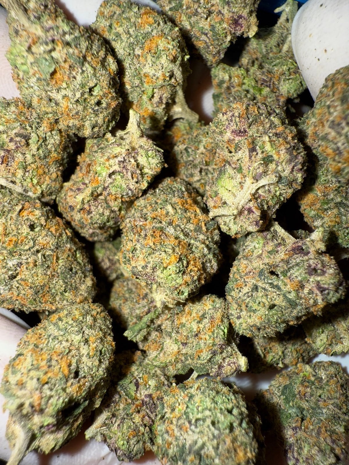 Only Indoor