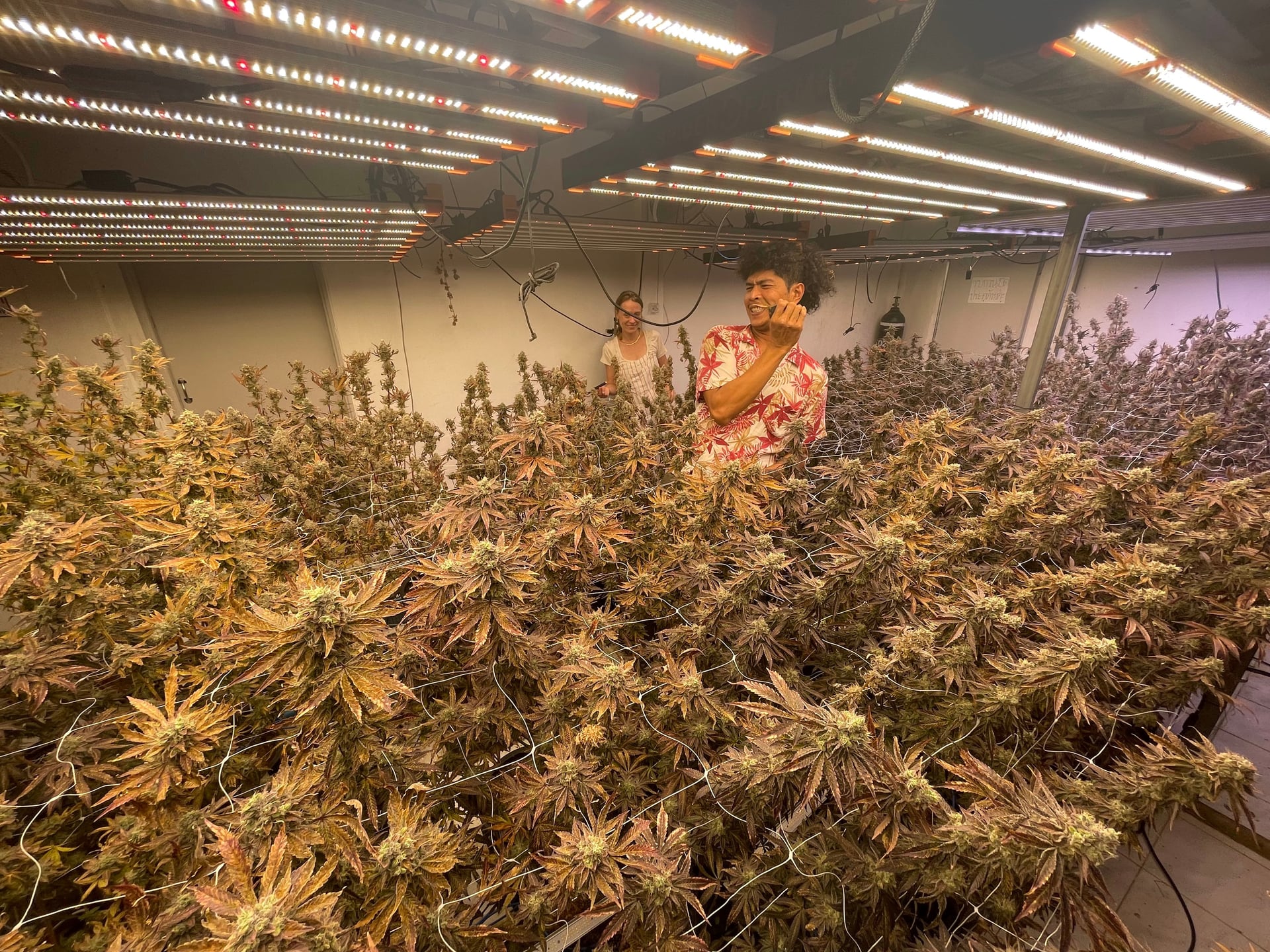 Jojoe Booster