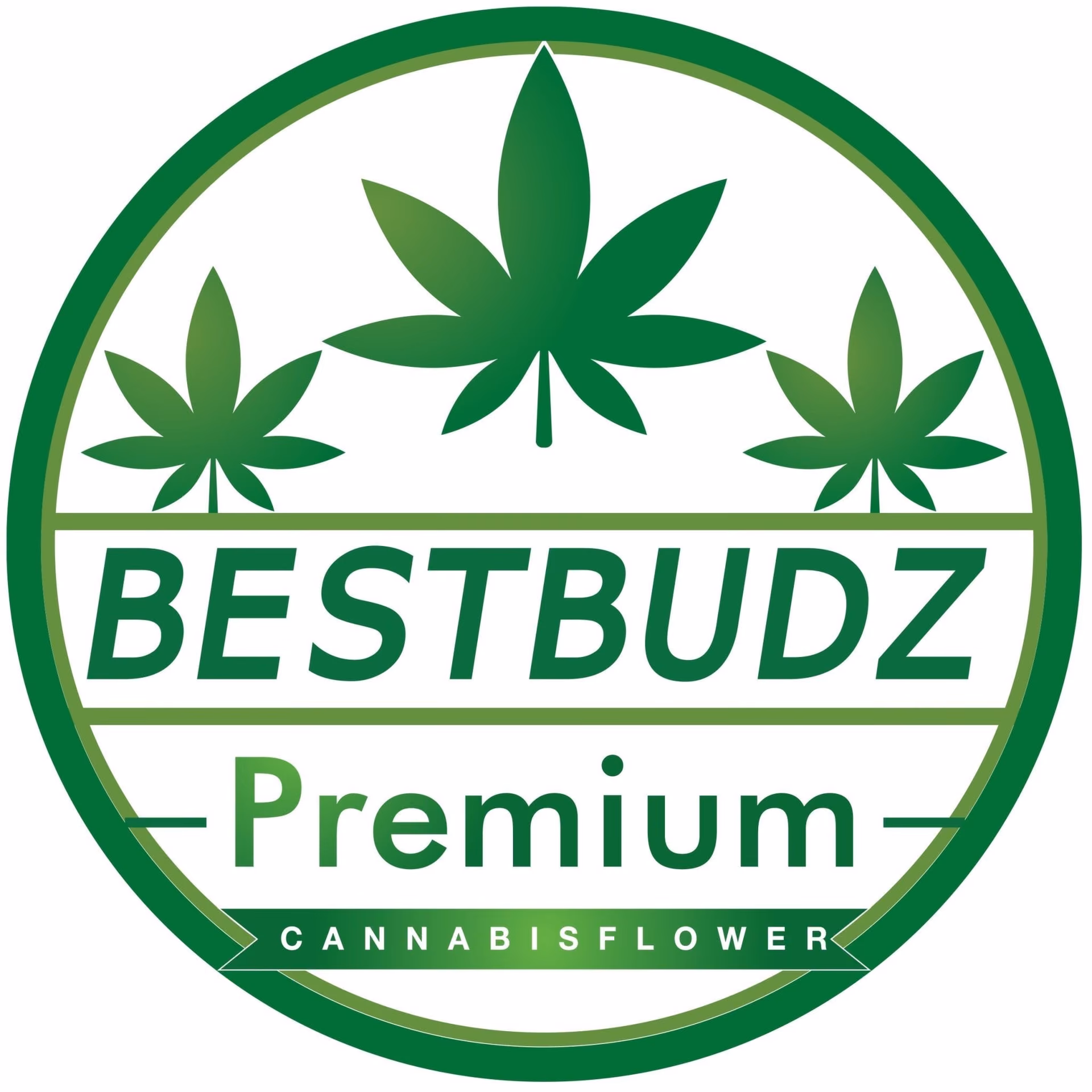 Khon Kaen में कैनबिस सोशल क्लब BestBudz.th लोगो